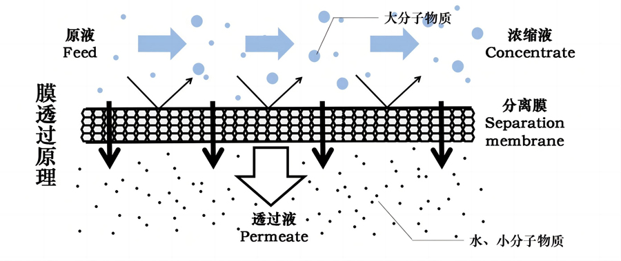 后置膜過濾系統